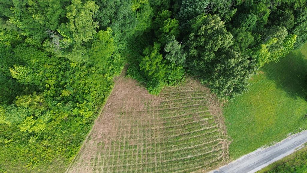 Land in Smithville