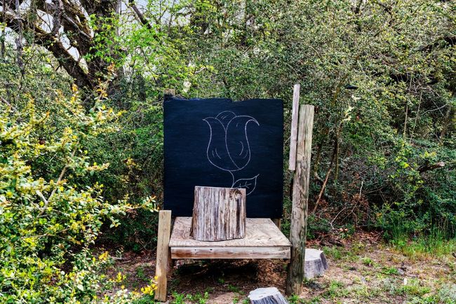 Yard Art | Image 35