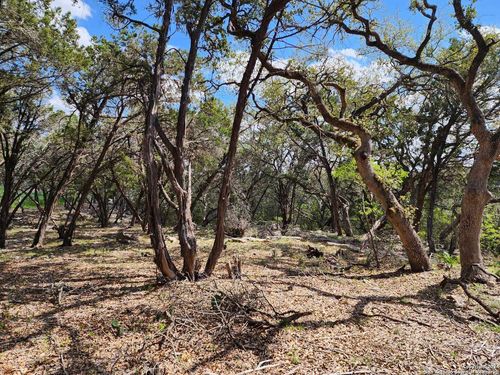 LOT 18 Forest Lake Dr, Spring Branch, TX, 78070 | Card Image