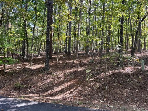 XXX Gerona Cir, Hot Springs Village, AR, 71909 | Card Image