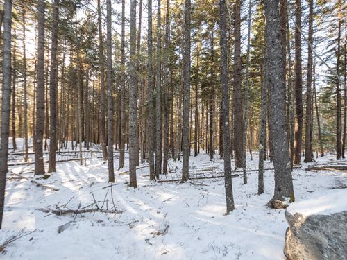 25 Long Pond Road, Southwest Harbor, ME, 04679 | Card Image