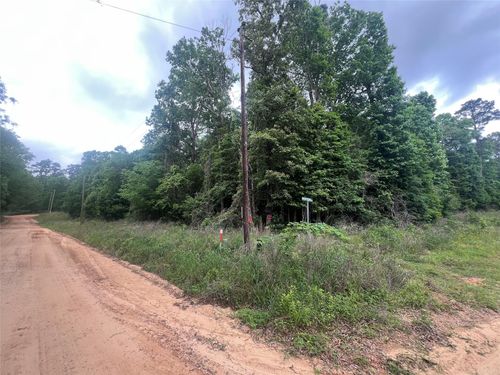 0 Patricia Dr, Livingston, TX, 77351 | Card Image