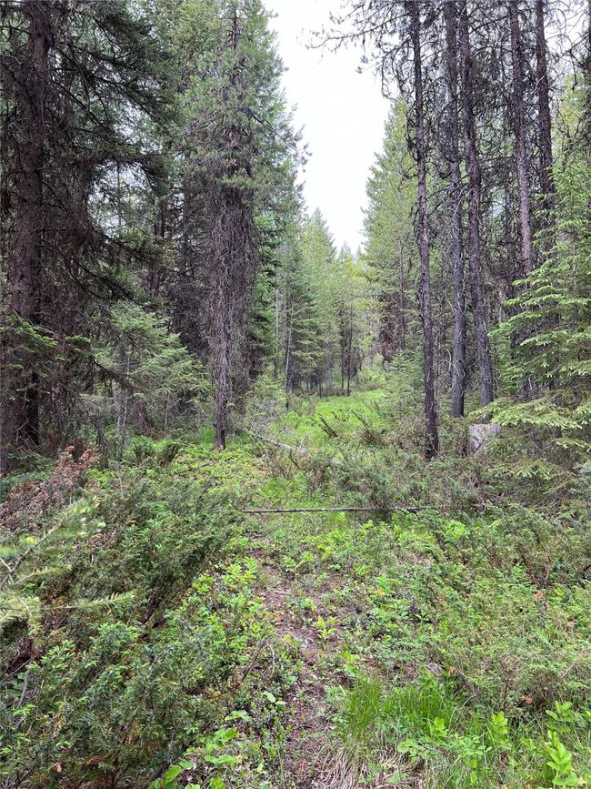 open trails waiting for you to explore | Image 90
