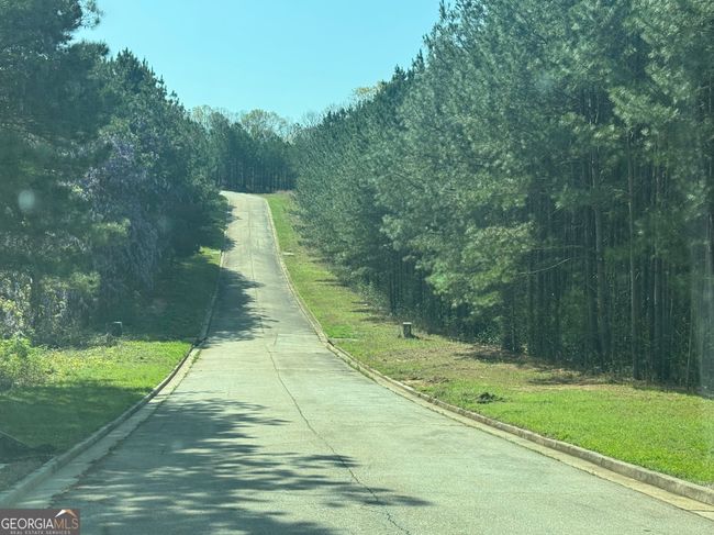 TRACT-1 - 0 Wisteria Ln, Home with 0 bedrooms, 0 bathrooms and null parking in Mansfield GA | Image 7
