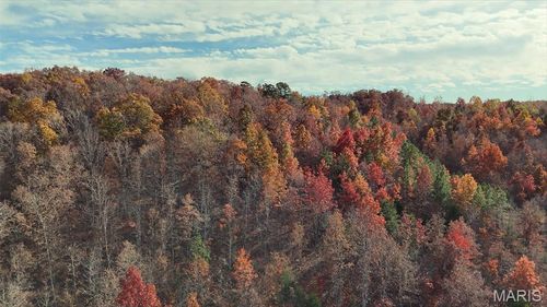 tract-13-0 Highway 49, Piedmont, MO, 63957 | Card Image