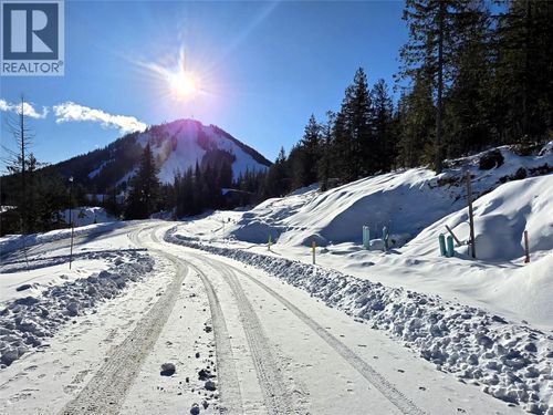 101 Topping Terrace, Rossland, BC, V0G1Y0 | Card Image