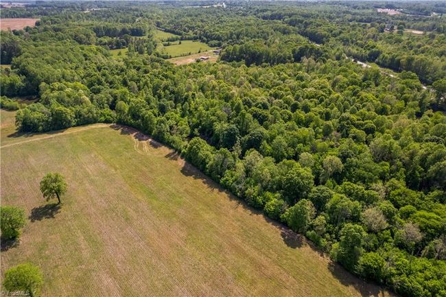 0 Nc 801 Hwy, Home with 0 bedrooms, 0 bathrooms and null parking in Woodleaf NC | Image 8
