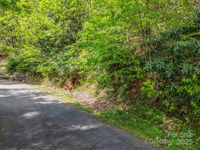 8 White Birch Ct, Home with 0 bedrooms, 0 bathrooms and null parking in Black Mountain NC | Image 20
