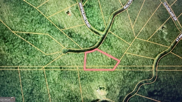Land in Ellijay 3