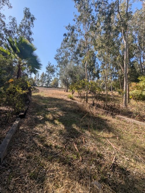 0 County Rd E, Willows, CA, 95988 | Card Image