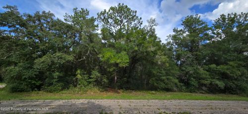 9427 N Lampson Ter, Citrus Springs, FL, 34434 | Card Image
