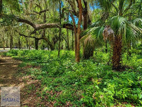 73 Tolomato Dr, Darien, GA, 31305 | Card Image