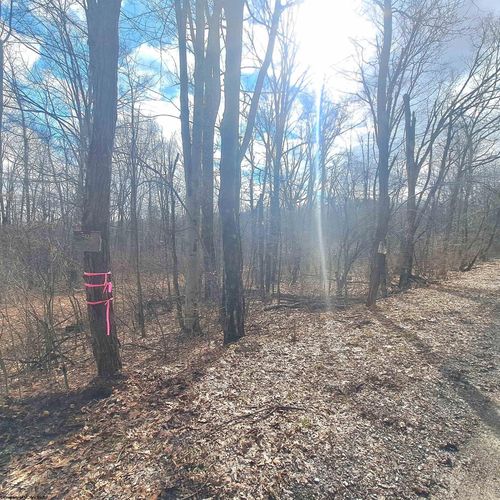 TBD Glade Run Rd, Albright, WV, 26519 | Card Image