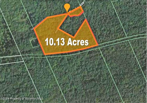 10.13 Acre Tomko Avenue, Hanover Twp, PA, 18706 | Card Image