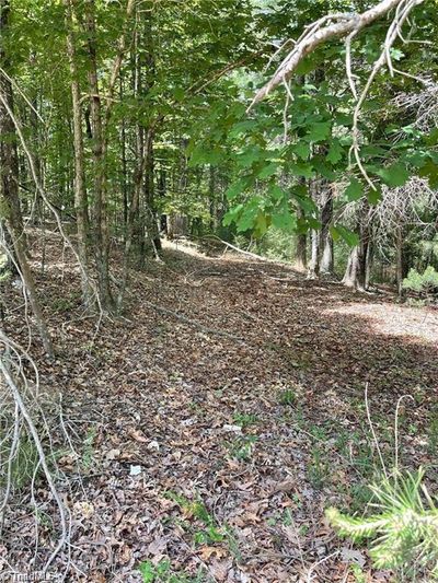 Lot 8 Overland Trail, Home with 0 bedrooms, 0 bathrooms and null parking in Hays NC | Image 1