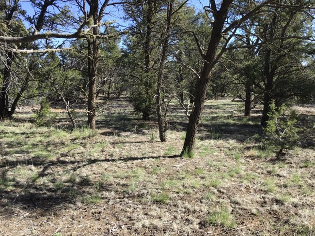 Lot 7 Red Fox Road, Home with 0 bedrooms, 0 bathrooms and null parking in Ramah NM | Image 15