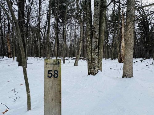 Lot 58 Badger Ct, Arkdale, WI, 54613 | Card Image