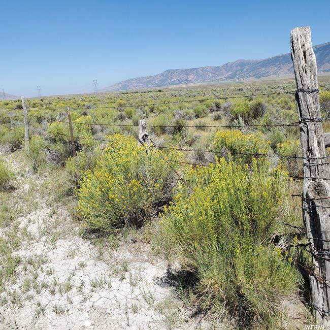 311 E Highway 199, Home with 0 bedrooms, 0 bathrooms and null parking in Rush Valley UT | Image 9
