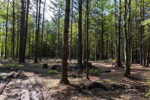 VL N Meridian Road, Jerome Township, MI, 48657 | Card Image