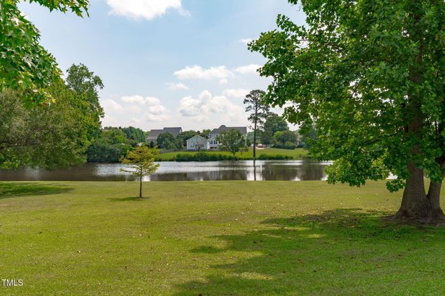 Pond | Image 47