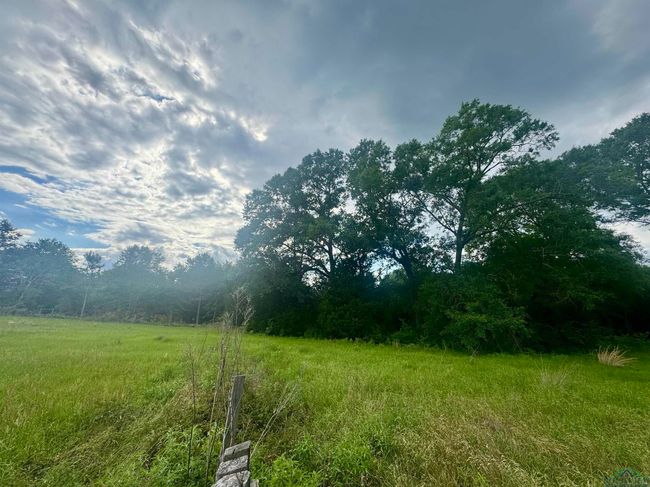 TBD 2174 Tbd 2174, Home with 0 bedrooms, 0 bathrooms and null parking in Tatum TX | Image 7