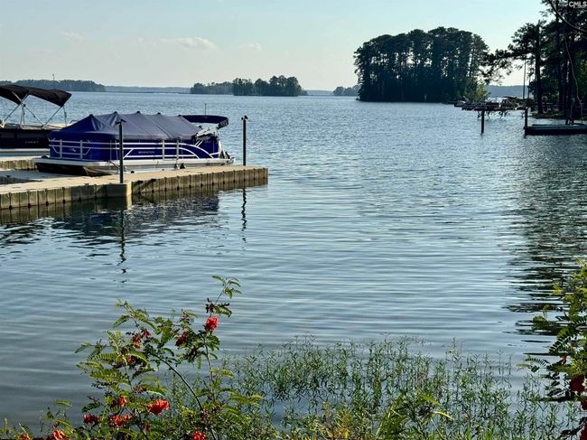 348 Amalfi Dr, House other with 3 bedrooms, 3 bathrooms and null parking in Chapin SC | Image 37