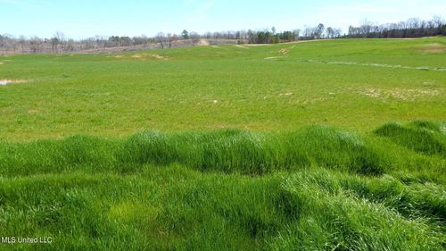 779 Graysport Crossing Rd, Gore Springs, MS, 38929 | Card Image