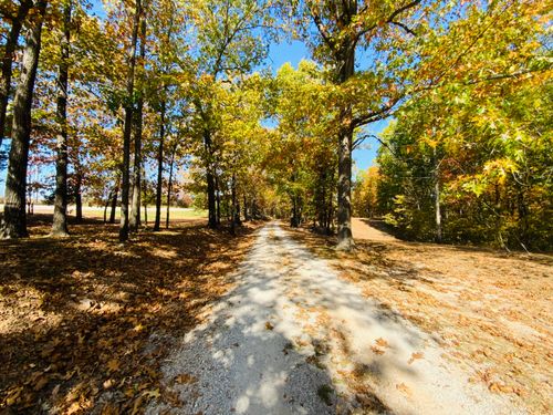 1814 State Highway 125 S, Sparta, MO, 65753-9216 | Card Image