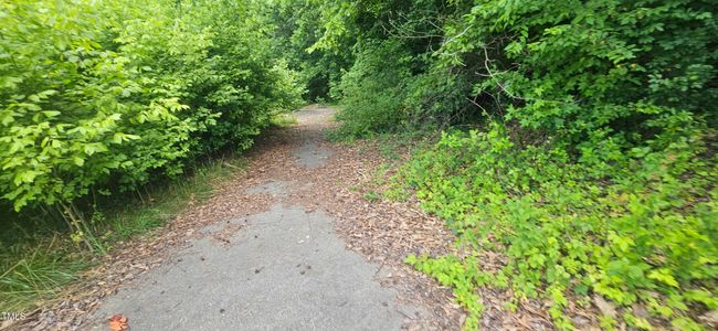 20240613_150834 | Image 10