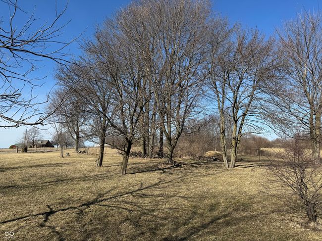 view of yard with a rural view | Image 37