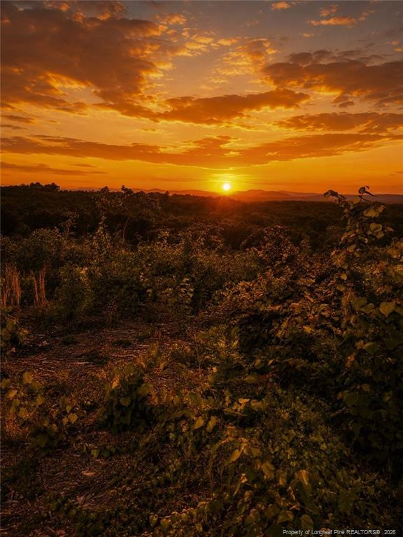 Land in Asheboro 3