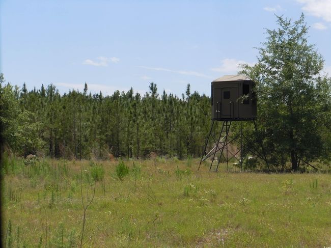 2231 Barts Rd, Home with 0 bedrooms, 0 bathrooms and null parking in Loris SC | Image 4
