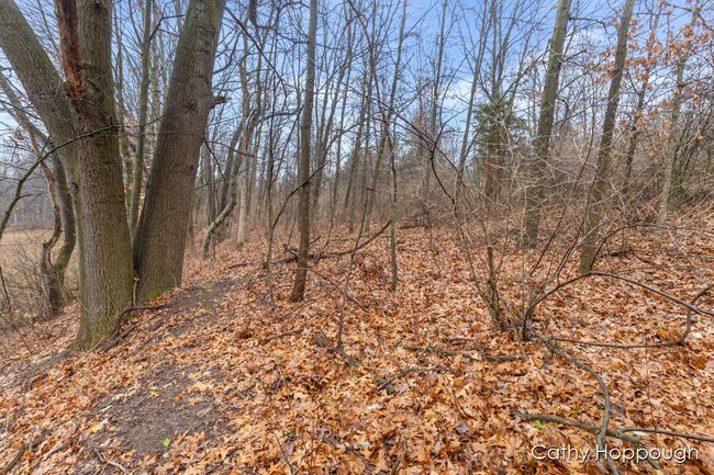 PARCEL-1 - V/L W Snows Lake Road, Home with 0 bedrooms, 0 bathrooms and null parking in Fenwick MI | Image 18