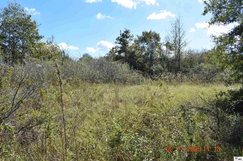 0 Plum Grove Rd, Pioneer, LA, 71266 | Card Image