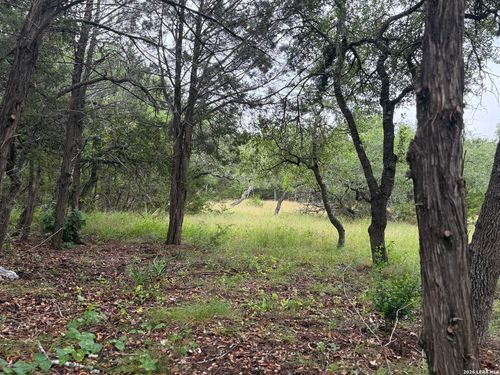 197 Rosenberry, Bulverde, TX, 78163-1783 | Card Image