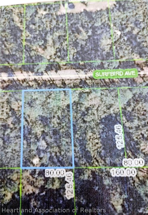 3314 Surfbird Ave, Lake Placid, FL, 33852 | Card Image