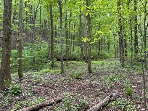 TR 1 Pleasant Hill Trail, Ellijay, GA, 30540 | Card Image