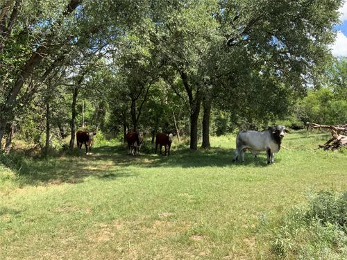 10051 County Road 321, Blanket, TX, 76432 | Card Image