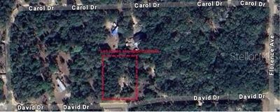 111 David Drive, Home with 0 bedrooms, 0 bathrooms and null parking in Interlachen FL | Image 2