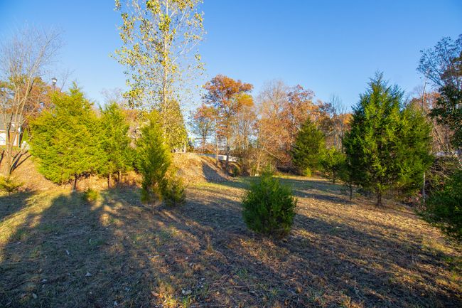 2733 Prestwick Ct, Home with 0 bedrooms, 0 bathrooms and null parking in Kingsport TN | Image 10