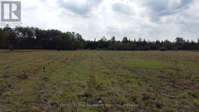 4197 Highway 654, Home with 0 bedrooms, 0 bathrooms and null parking in Nipissing ON | Image 6