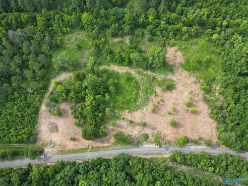 lot 4&5 County Road 59, Moulton, AL, 35650 | Card Image
