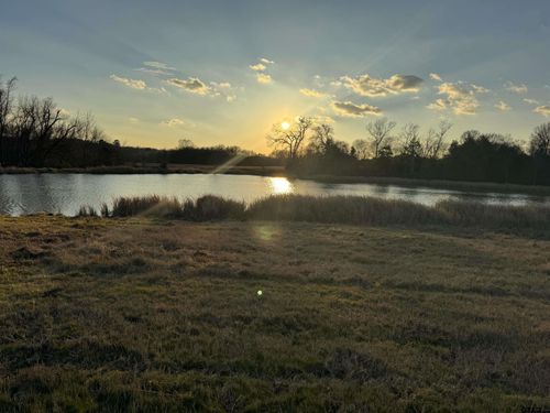 7240 E Sh 294, Elkhart, TX, 75839 | Card Image