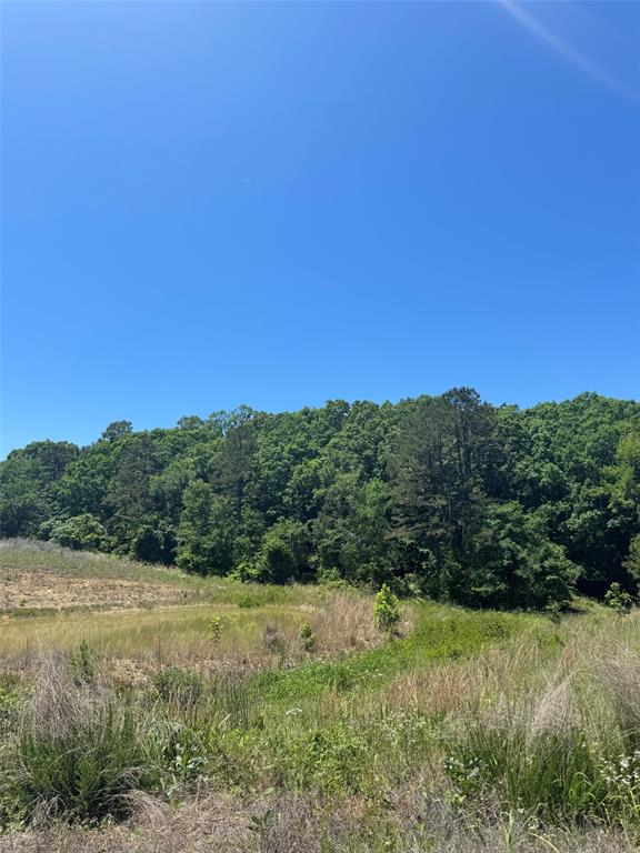 Land in Watson 5
