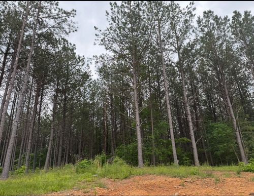 119 Auburn Dr, Hohenwald, TN, 38462 | Card Image