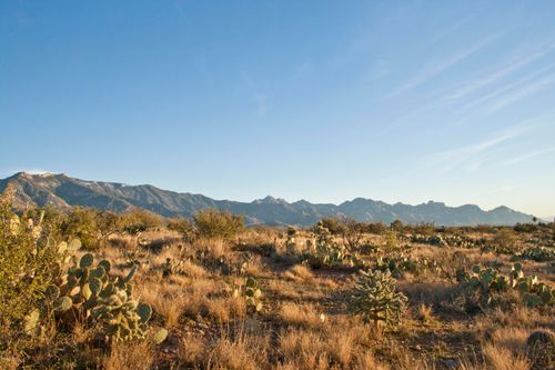 3-0 E Calle Rosa Linda, Tucson, AZ, 85739 | Card Image