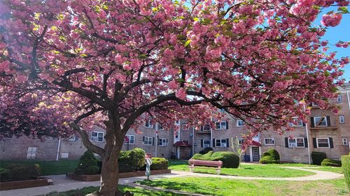 3b-66-10 111th St, Forest Hills, NY, 11375-1906 | Card Image