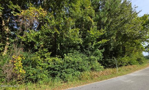 0 Brassie Dr, Grifton, NC, 28530 | Card Image