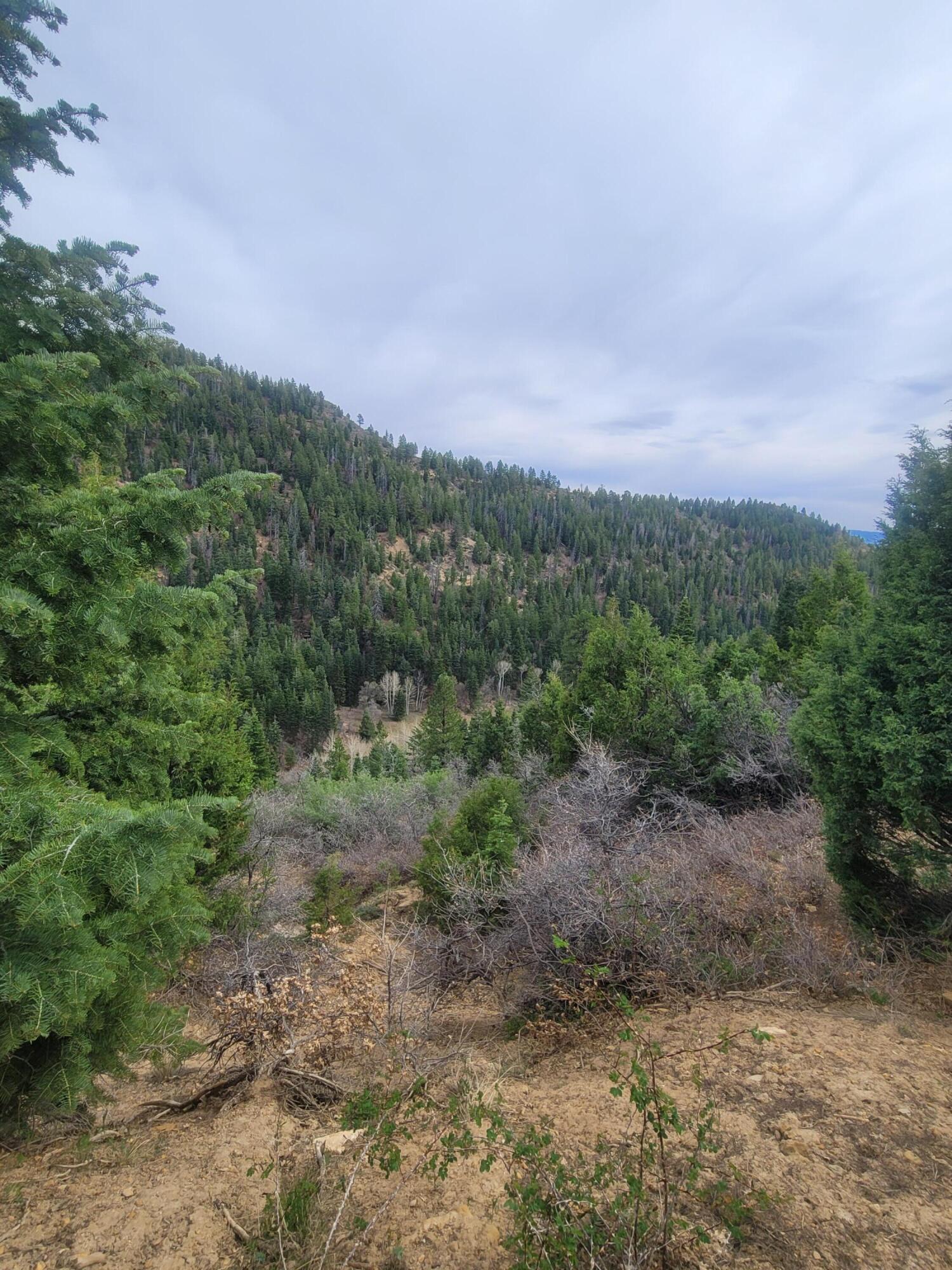 Land in Duck Creek Village