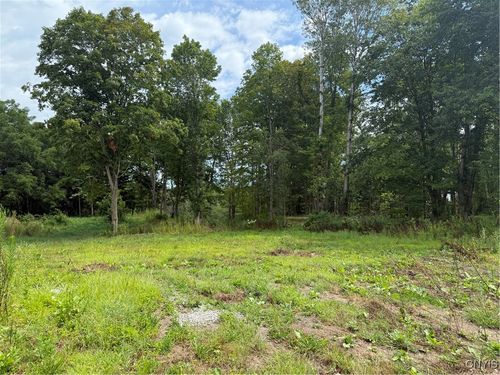 252 Paddy Lake Rd, Oswego, NY, 13126 | Card Image